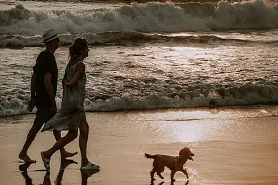 Travel & Leisure: The Art of Exploring and Unwinding